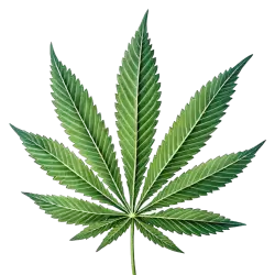 Imagen PNG para descargar